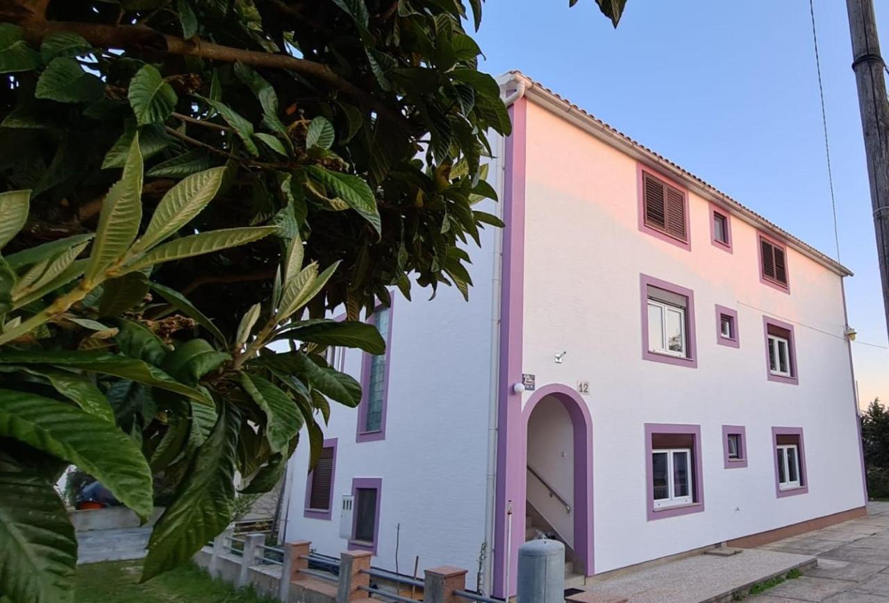 Apartmani Jelena Petrčane Exterior foto